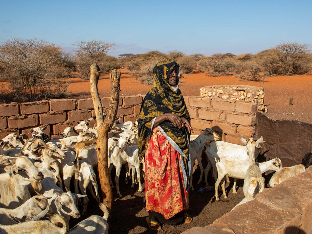 Crisis In Somalia Catastrophic Hunger Amid Drought And Conflict   20220420 Somalia Drought 12 Edited 1200x800 5b2df79 